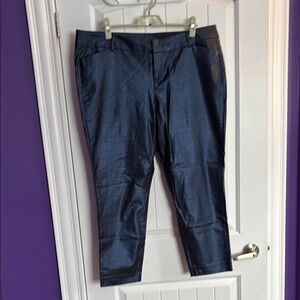 Shiny Blue Pants